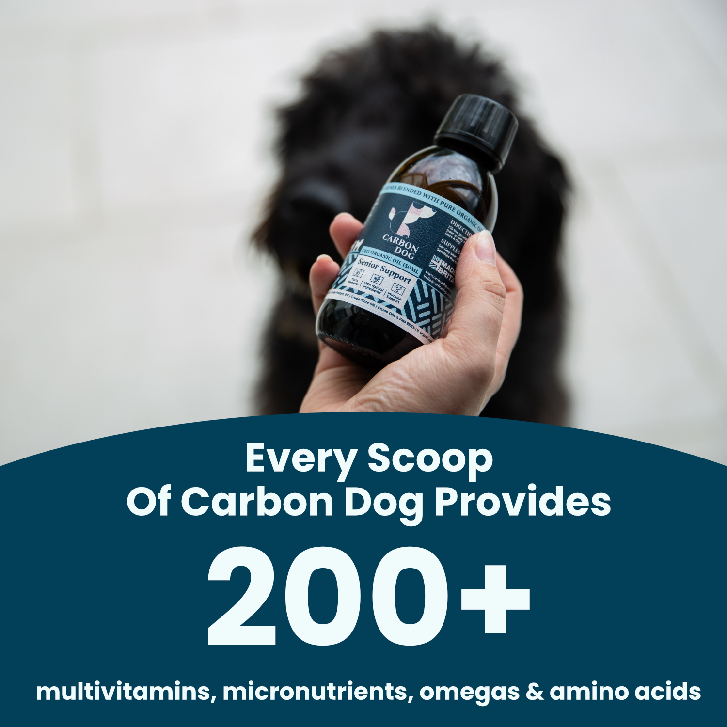 Carbon Dog Everyday Daily Support