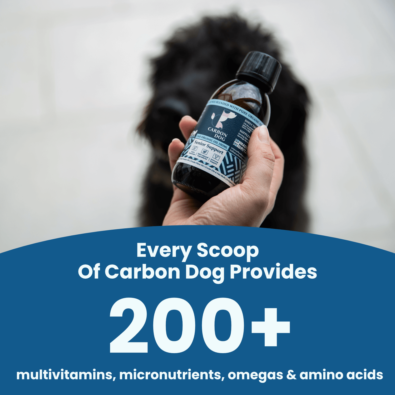 Immune Support Enhanced Plus Organic Antioxidant