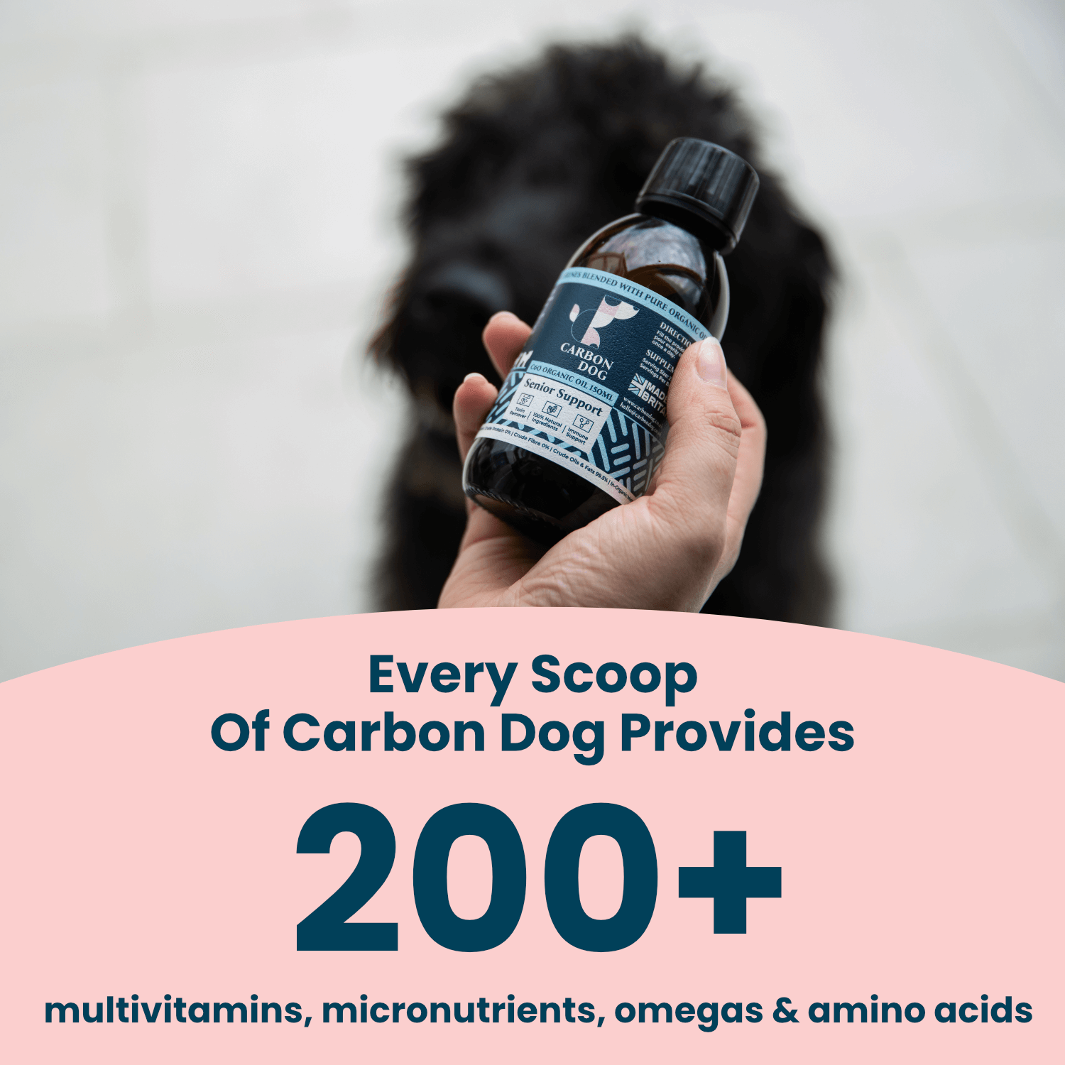 Carbon Dog Organic Antioxidant