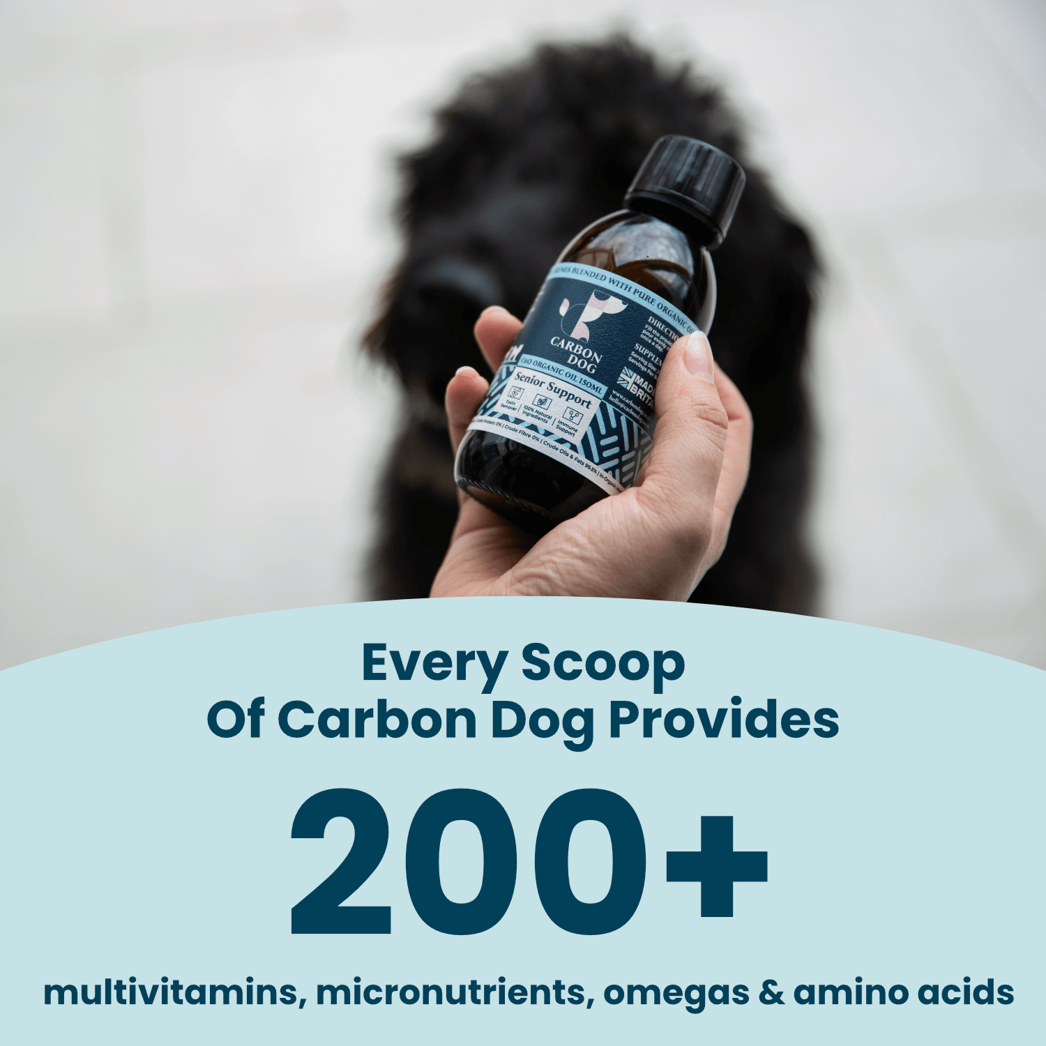 Senior Support Organic Antioxidant