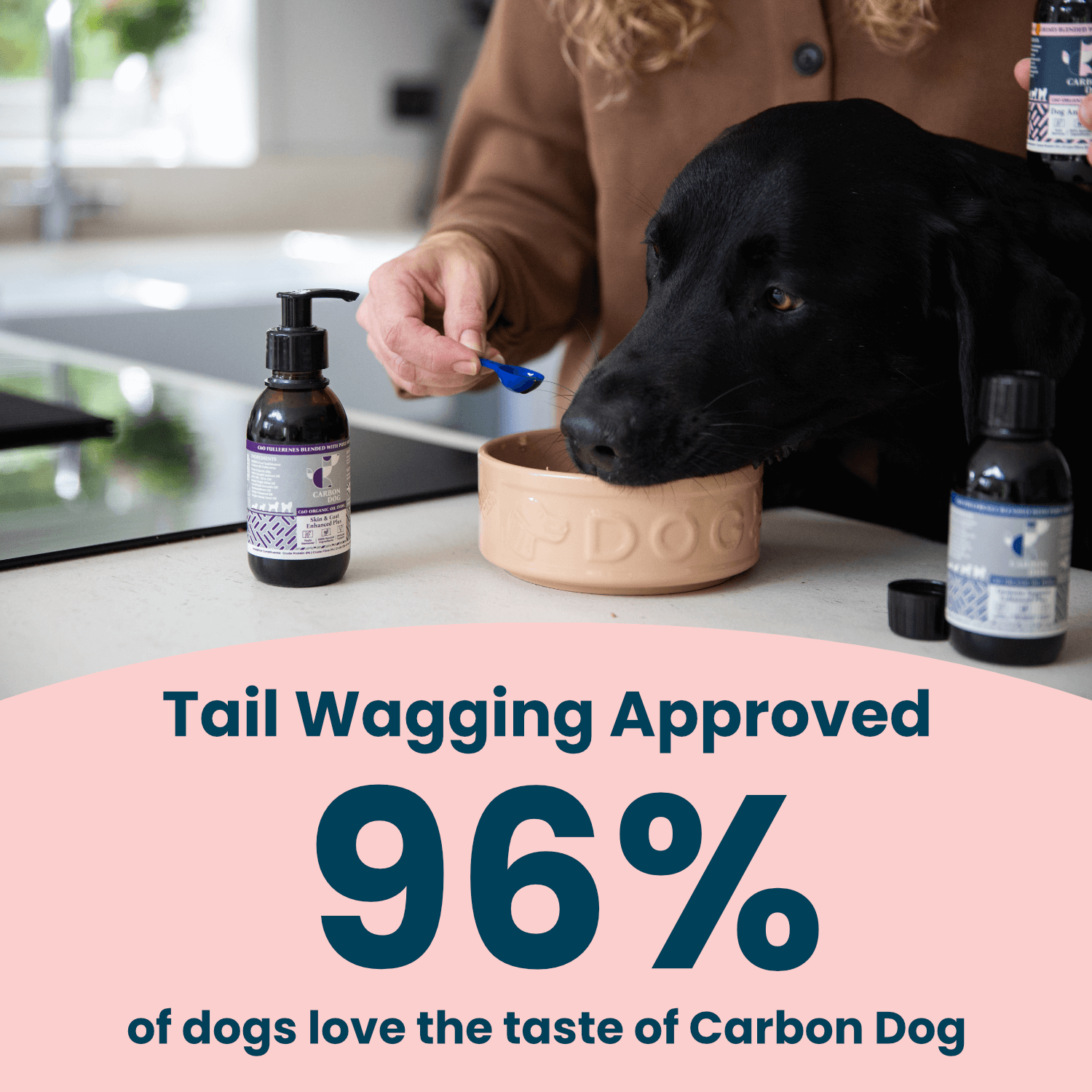 Carbon Dog Organic Antioxidant
