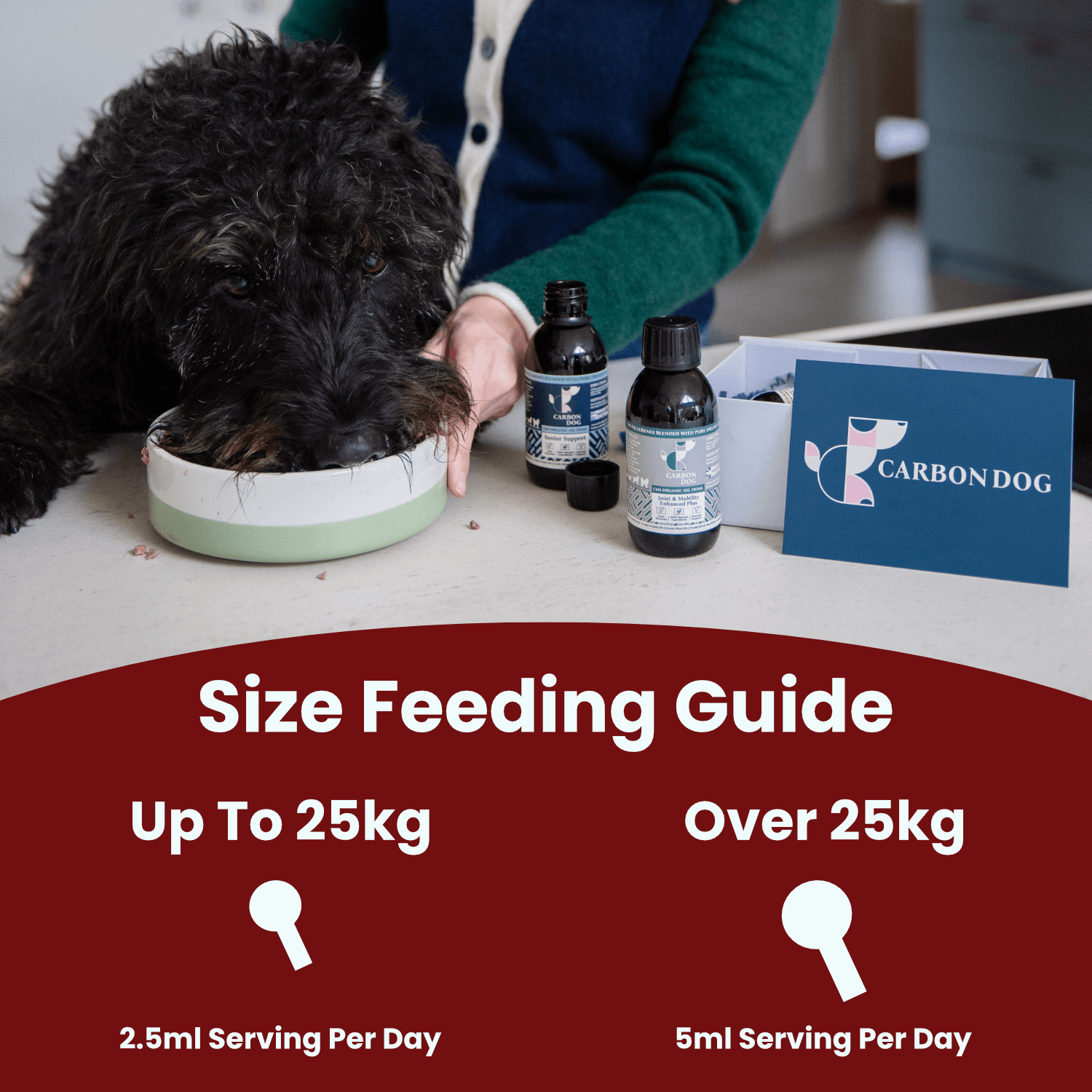 Digestion Support Enhanced Plus