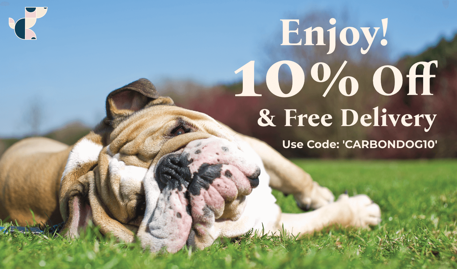Carbon Dog Organic Antioxidant