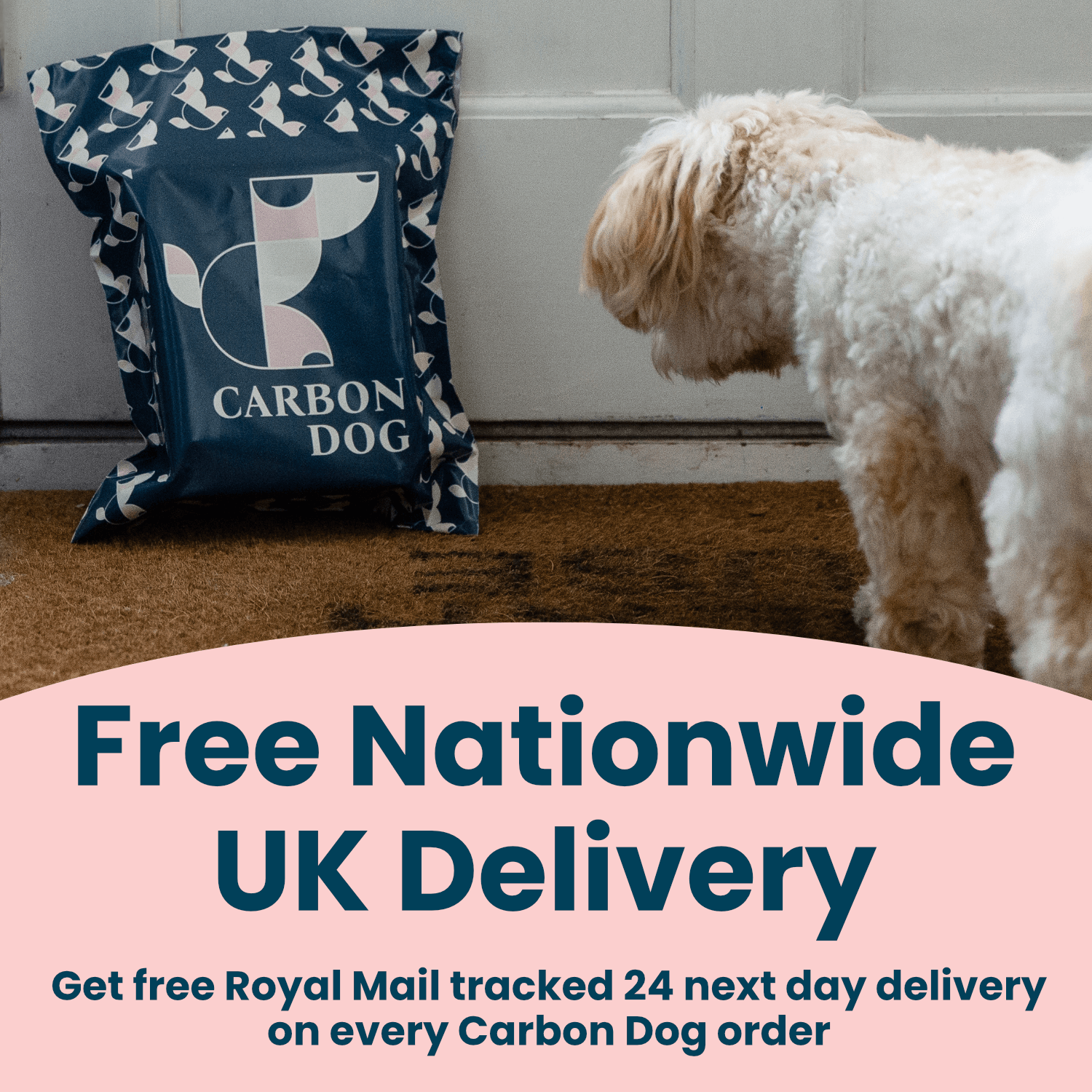 Carbon Dog Organic Antioxidant
