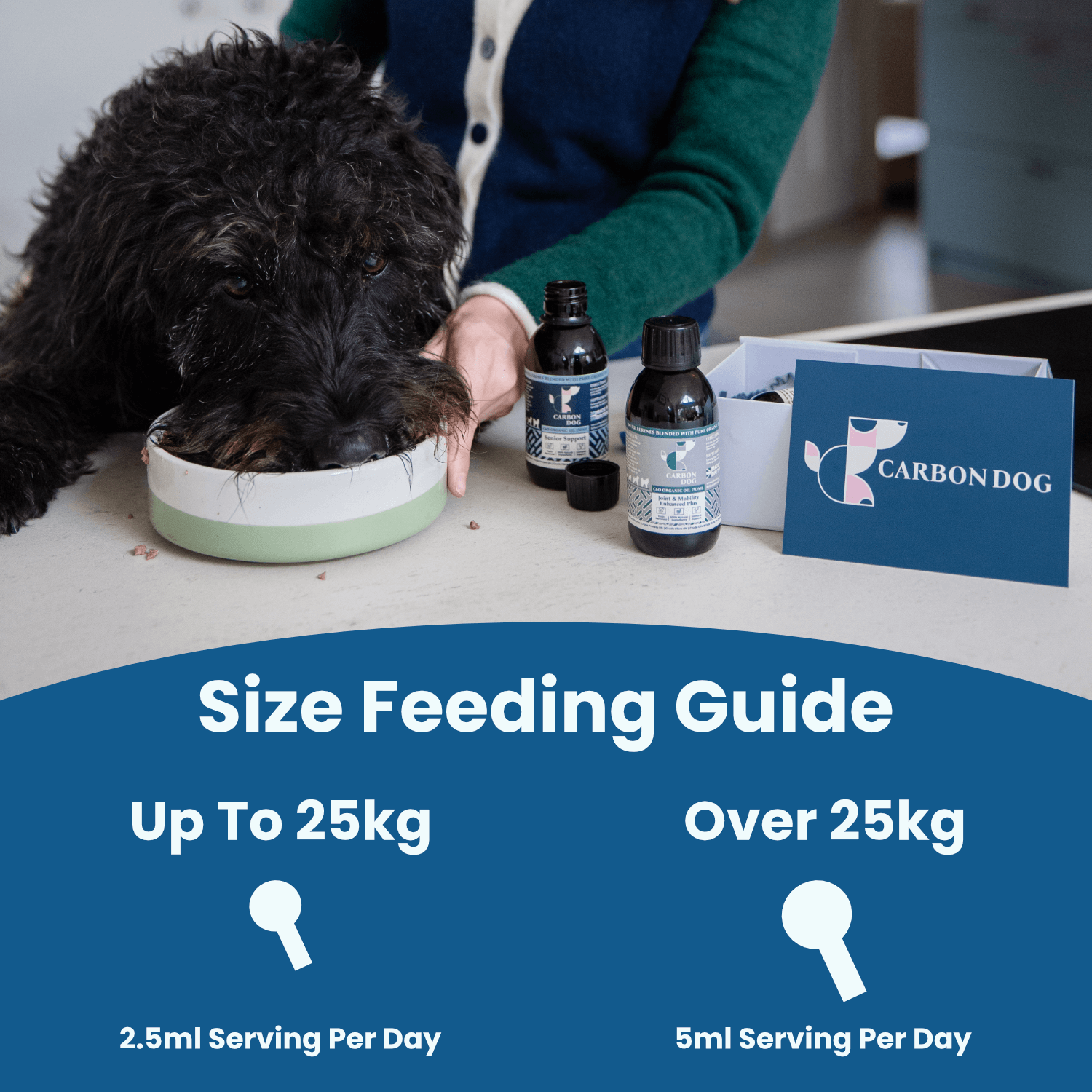 Immune Support Enhanced Plus