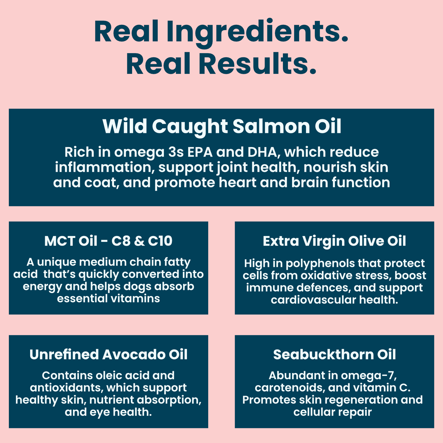 Carbon Dog Organic Antioxidant