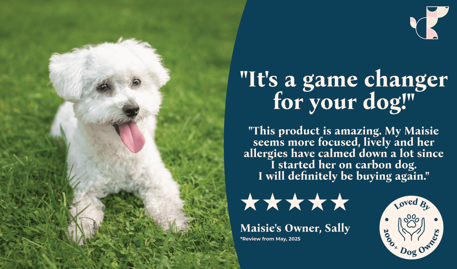 Carbon Dog Organic Antioxidant