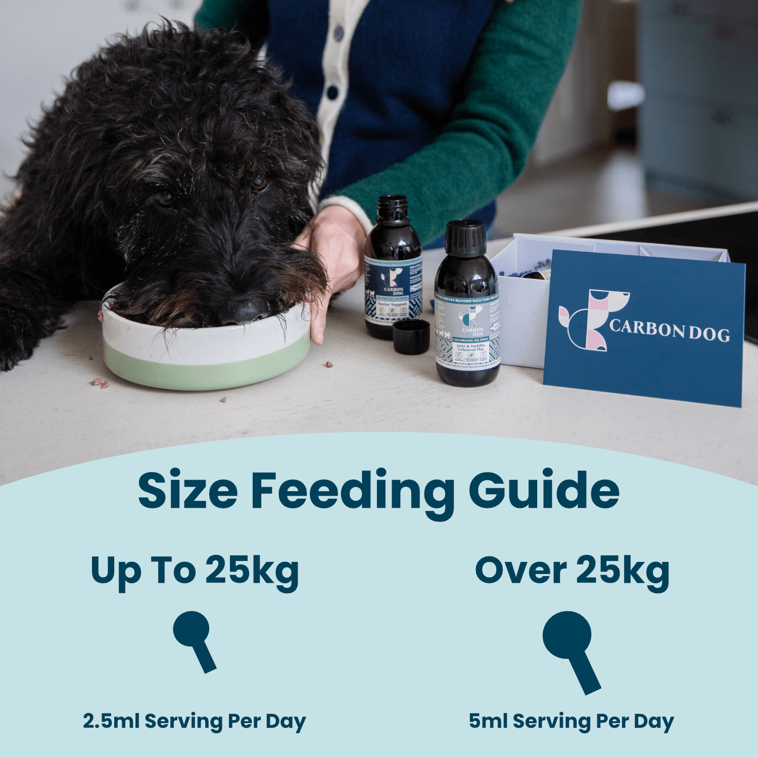 Carbon Dog Senior Support