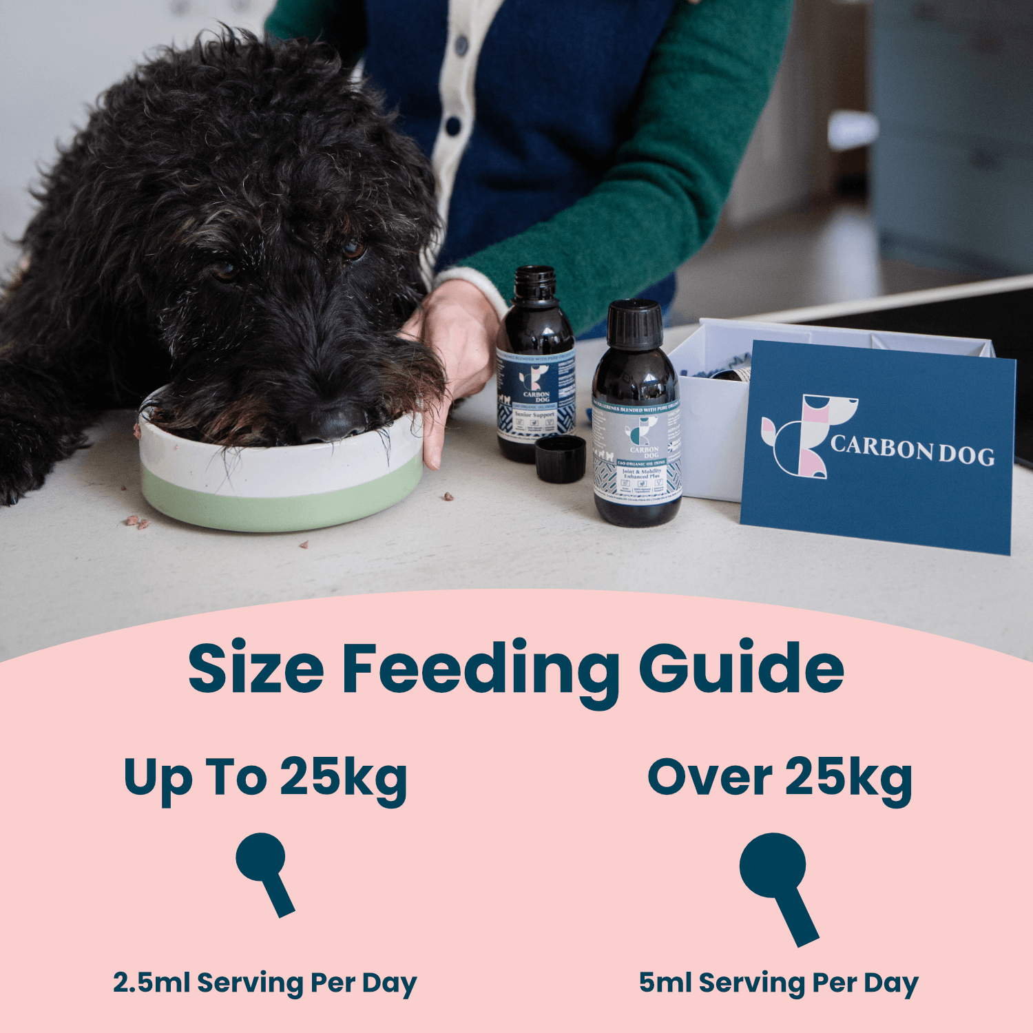 Carbon Dog Everyday Daily Support