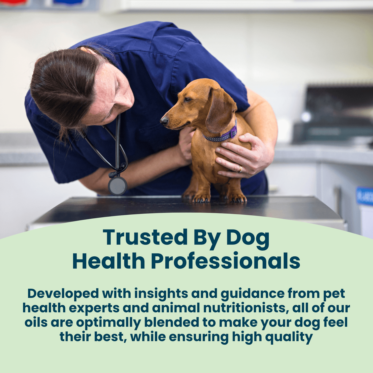 Puppy Support Organic Antioxidant