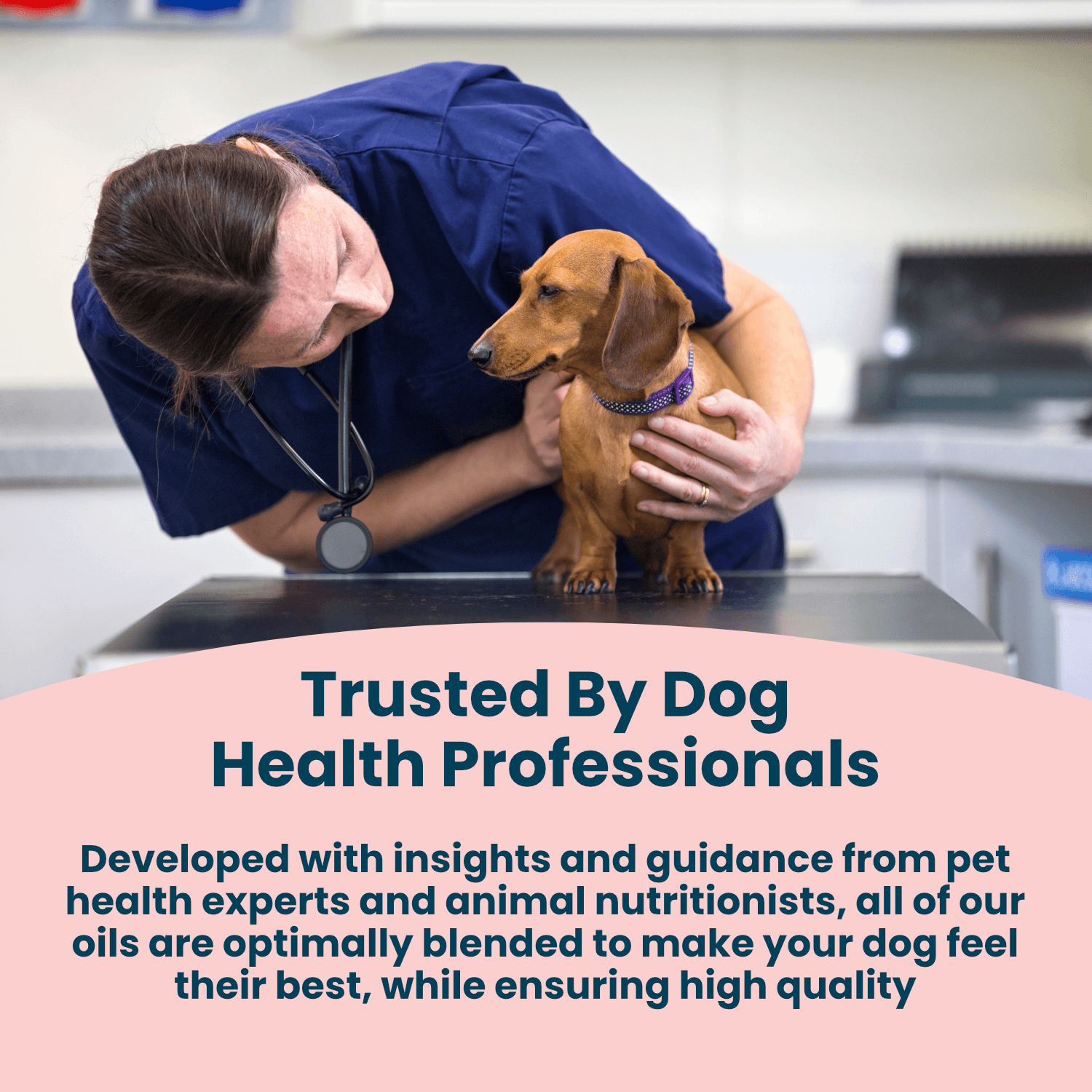 Carbon Dog Organic Antioxidant